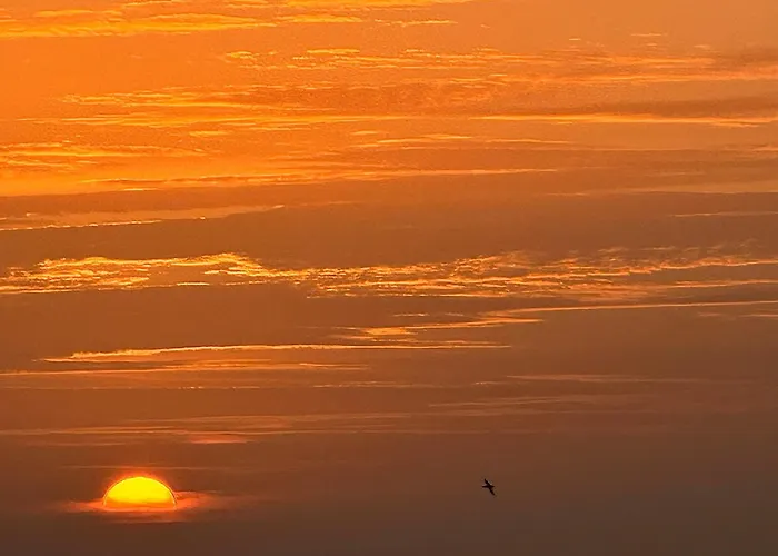 Salitre * Πουέρτο Ντελ Κάρμεν